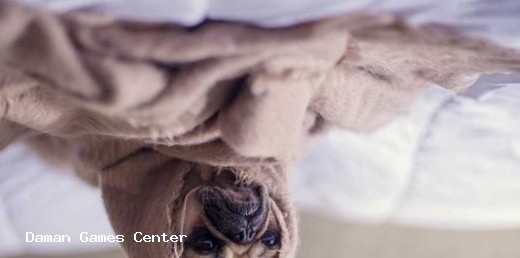 Rugby Rookies India multiplayer mode showing a live match between players from different Indian cities with a chat interface